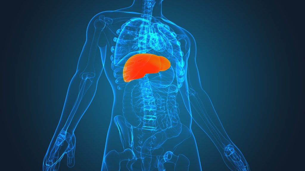 The Physical Symptoms of Liver Damage