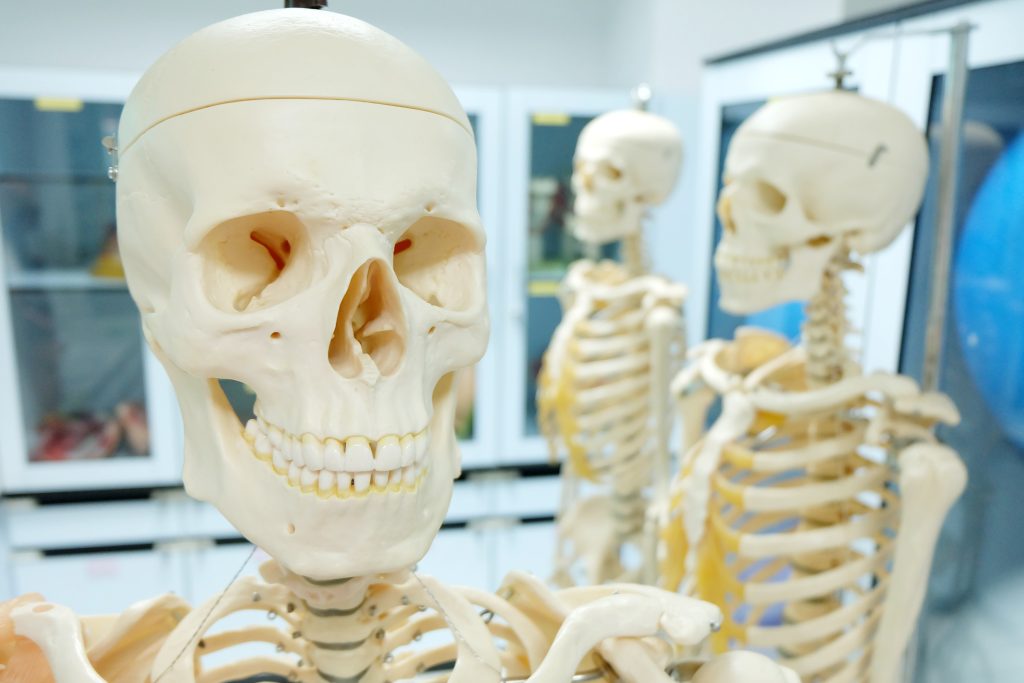 Most Common Bone Diseases