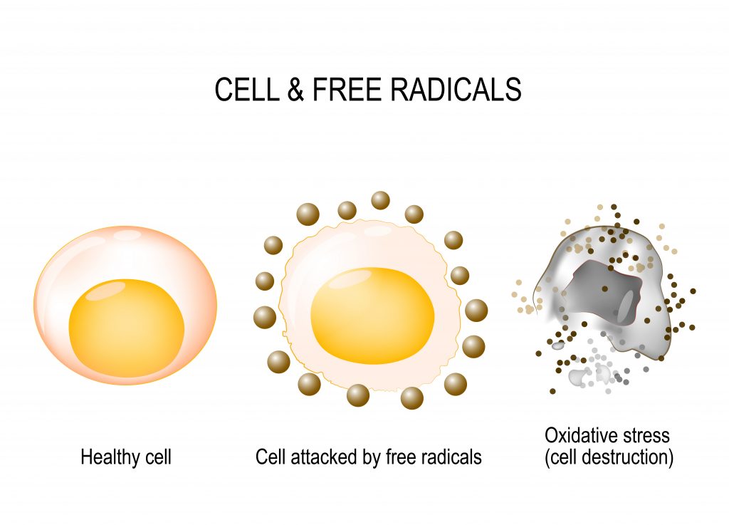 How Oxidative Stress Directly Contributes To Low-Grade Inflammation - Cell & Free Radicals