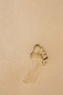 Why Are Bunions so Painful?