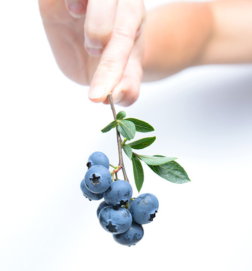 Blueberries & Bone Health: Menopause