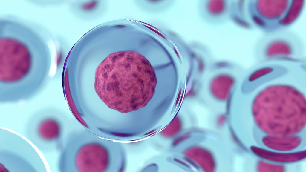 Why We Use Stem Cells