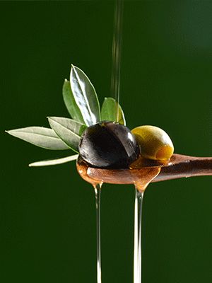 Olive Oil